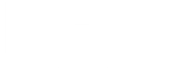 Intenso Brand